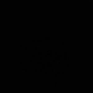 Meet your Posher, Yo